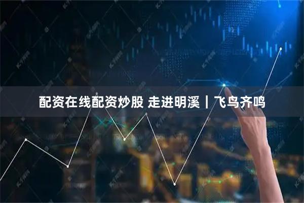 配资在线配资炒股 走进明溪｜飞鸟齐鸣